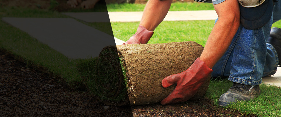 Mountain Home Landscapers